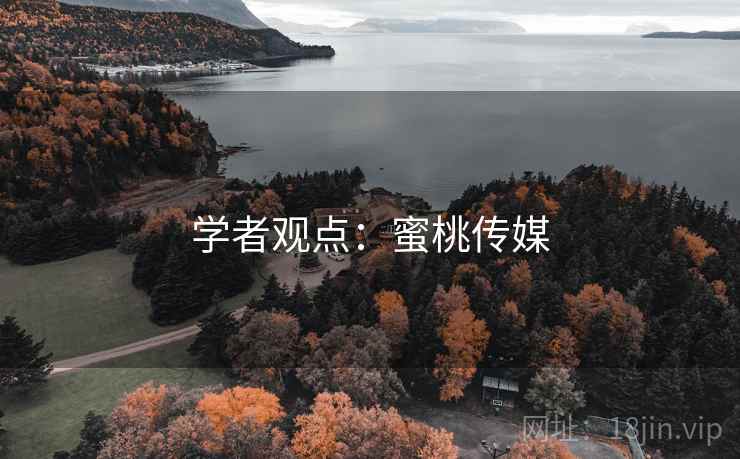 学者观点:蜜桃传媒