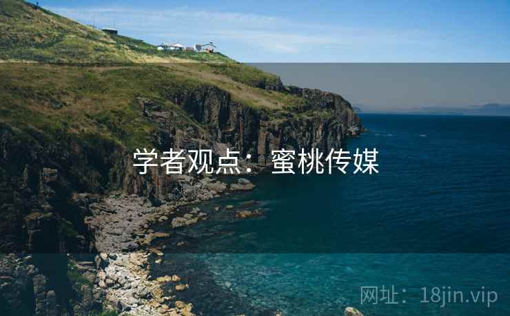 学者观点:蜜桃传媒