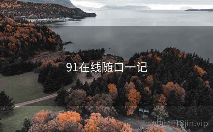 91在线随口一记