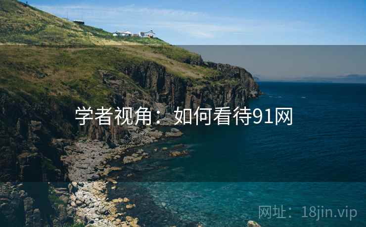 学者视角:如何看待91网