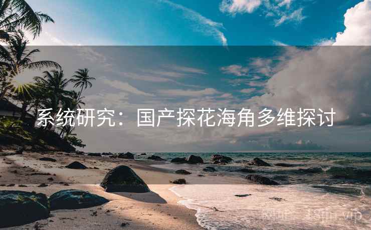 系统研究:国产探花海角多维探讨