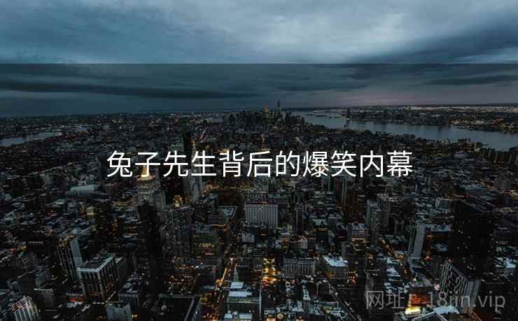 兔子先生背后的爆笑内幕