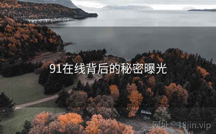 91在线背后的秘密曝光