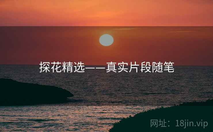 探花精选——真实片段随笔