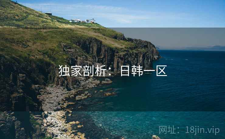 独家剖析:日韩一区