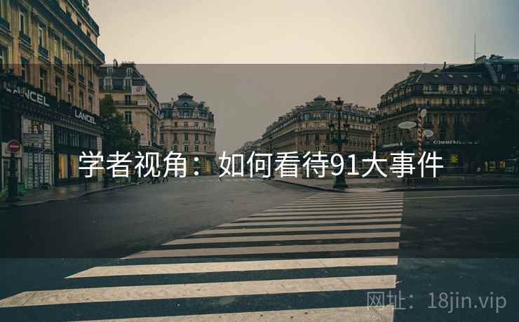 学者视角：如何看待91大事件