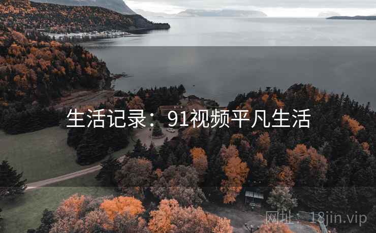 生活记录:91视频平凡生活