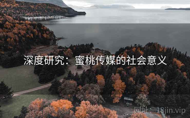 深度研究:蜜桃传媒的社会意义