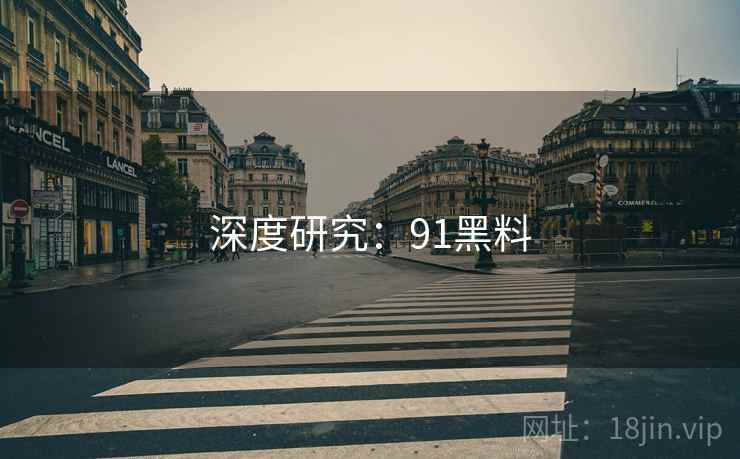 深度研究:91黑料